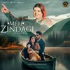 About Meri Zindagi Song