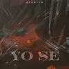 About YO SE Song