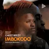 About Imbokodo Song