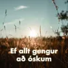 About Ef allt gengur að óskum Song