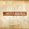 Cosala Durango