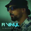 About Fi Vinyl (Freestyle) Song