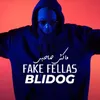 About Fake Fellas Song