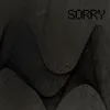 About Sorry Song