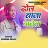 About Dhool Baja Bajela Song