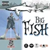 About Big Fish Song