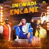 Incwade Encane