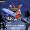 Voce di Strada - Freestyle, Vol. 1