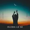 Oluwa Lo Se