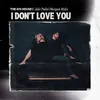 About I Don't Love You Song