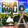 About Faka Imali Song