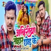 About Abiriya Tohar Chhod Ke Song