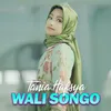 About Wali Songo Song