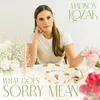 About What Does Sorry Mean Song