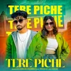 About Tere Piche Song