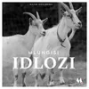 About Idlozi Song