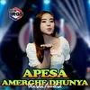 Apesa Amerghe Dhunya