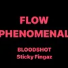 About FLOW PHENOMENAL Song