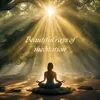 About Beautiful rays of meditation Song