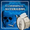 Corrido Del Compa Kini