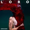 About Lobo Song