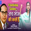 About Jai  Bhim Ki Karte Hai Hindi Song