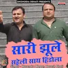 Sari Jhoolen Saheli Sath Hindola Hindi