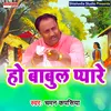 About Ho Babul Pyare Haryanvi Song