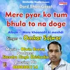 About Mere Pyar Ko Tum Bhula To Na Doge Hindi Song Song