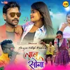 About Babu Sona Karti Ho Song