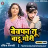 Bewafa Tu Badu Gori Bhojpuri Sad Song