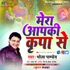 About Mera Apki Kripa Se Hindi Song