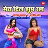 About Mera Dil Jhoom Raha Hai Song
