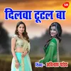 About Dilwa Tutal Ba Balmuwa Se Jutat Nayikhe Song