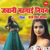 About Jawani Mehngayi Niyan Badhata Song