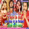 About Tu Mahal Ke Rani Ham Madi Me Ke Bhikhar Kaise Kari Pyar Song