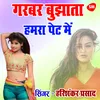 About Garbar Bujhata Hamara Pet Me Song