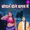 About Koyal Bole Bagan Main Song