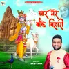 About Yaar Mere Banke Bihari - Krishna Bhajan Hindi Song