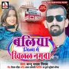 About Ballia Zilla Me Khila Hamar Namva Bhojpuri Song