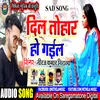 About Dil Tohar Ho Gayil Bhojpuri Song Song