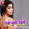 About Raja Bhula Gaila Song