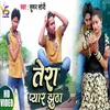 About Tera Pyar Jhuta Bhojpuri Song