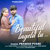 About Beautiful Lagelu Love Song Song