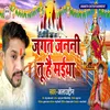 About Jagat Janani Tu Hai Maiya Bhojpuri Song