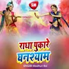 About Radha Pukare Ghanshyam Song