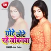 About Chhote Chhote Rahe Jobanwa Song