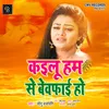 Kailu Ham Se Bewafai Bhojpuri Song