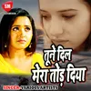 Tune Dil Mera Tor Diya