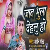 About Ye Jan Bhula Delu Ho Song